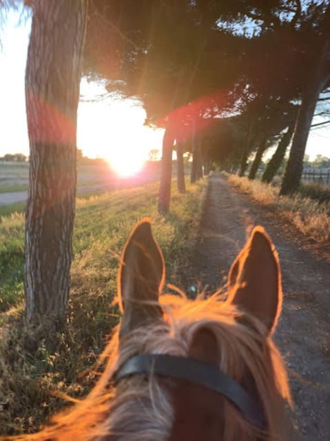 Romantic Day in Ancient Rome - Good To Know