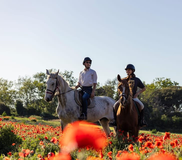 Romantic Day in Ancient Rome - Itinerary and Activities