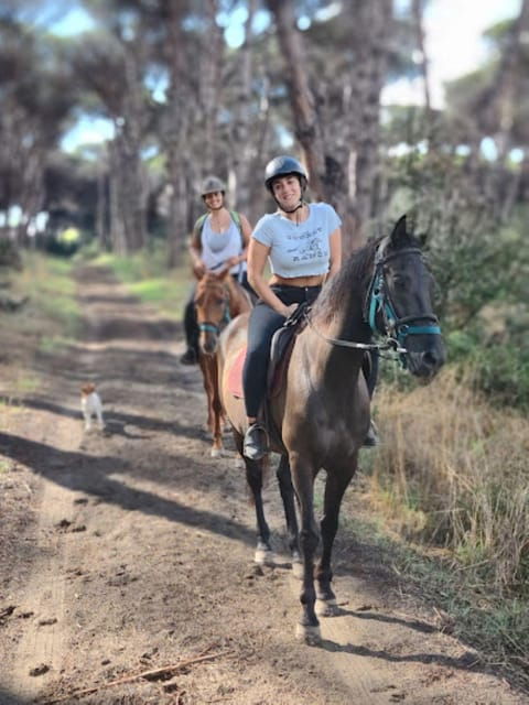 Romantic Day in Ancient Rome - Important Information and Requirements