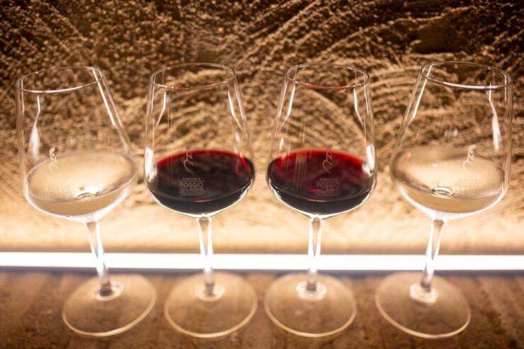 Romantic Dinner in the Vineyard of Poggio Ai Laghi Winery - Highlights and Features