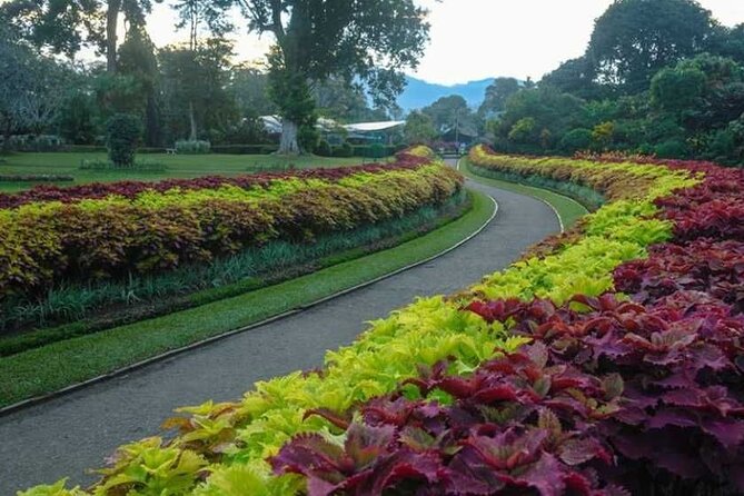 Romantic Escape - The Sum Up