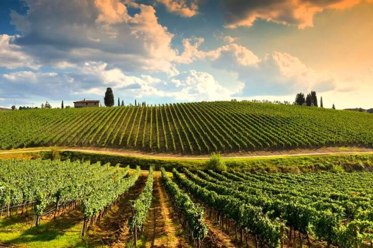 Romantic Escape in Tuscany With Overnight and Wine Tasting - Accommodation Highlights