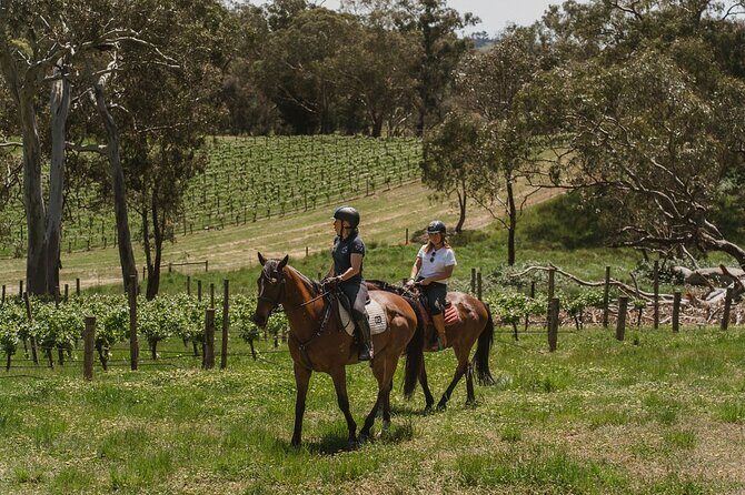 Romantic Horse Trail Ride with Wine and Food in Adelaide Hills - Why This Tour Stands Out