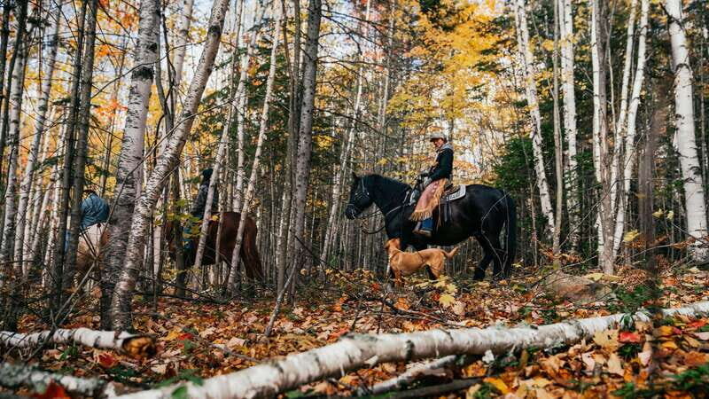 Romantic horseback riding at sunset : La Crépuscule - Who Will Love This Tour?