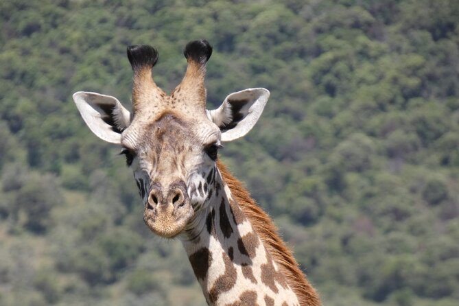 Romantic Mara Getaway With Jacuzzi - Reviews and Ratings