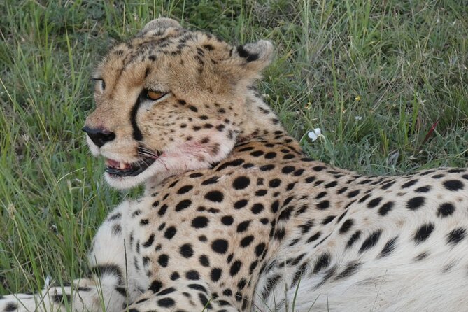 Romantic Mara Getaway With Jacuzzi - Frequently Asked Questions