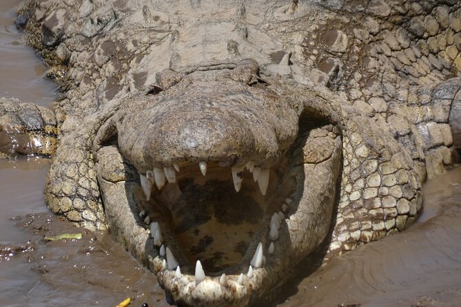 Romantic Mara Getaway With Jacuzzi - The Sum Up