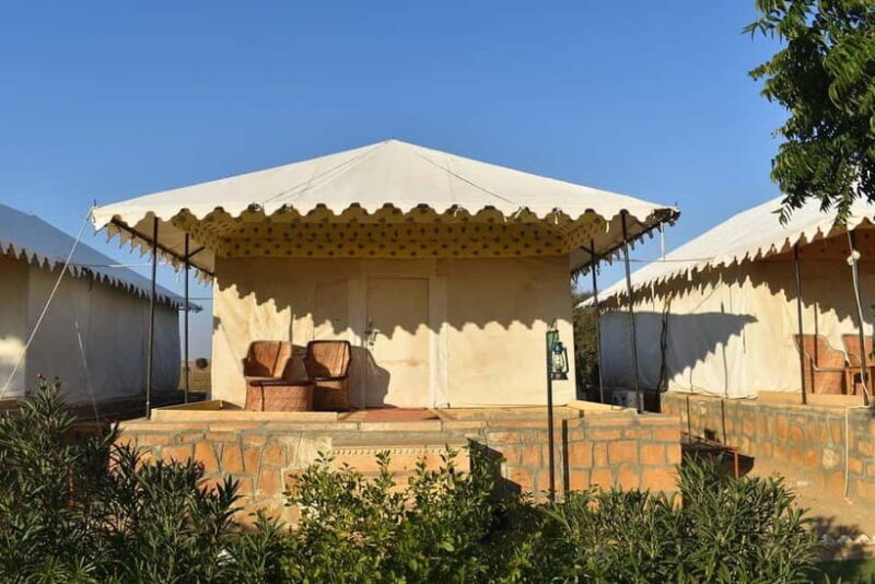 Romantic Overnight Thar Desert Camping Tour - The Sum Up