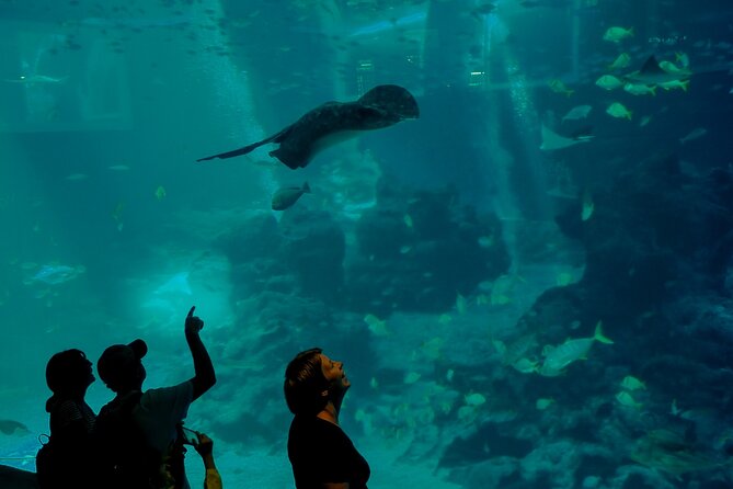 Romantic Private Tour In Sentosa - Meeting and Pickup Details