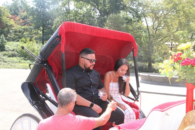 Romantic/Proposal Central Park Carriage Tour (Up to 4 Adults) - Meeting and Pickup