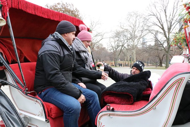 Romantic/Proposal Central Park Carriage Tour (Up to 4 Adults) - Cancellation Policy
