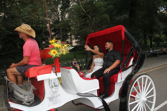 Romantic/Proposal Central Park Carriage Tour (Up to 4 Adults) - The Sum Up