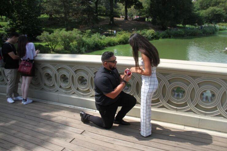 Romantic/Proposal Central Park Carriage Tour Up to 4 Adults - Benefits of a Central Park Carriage Tour