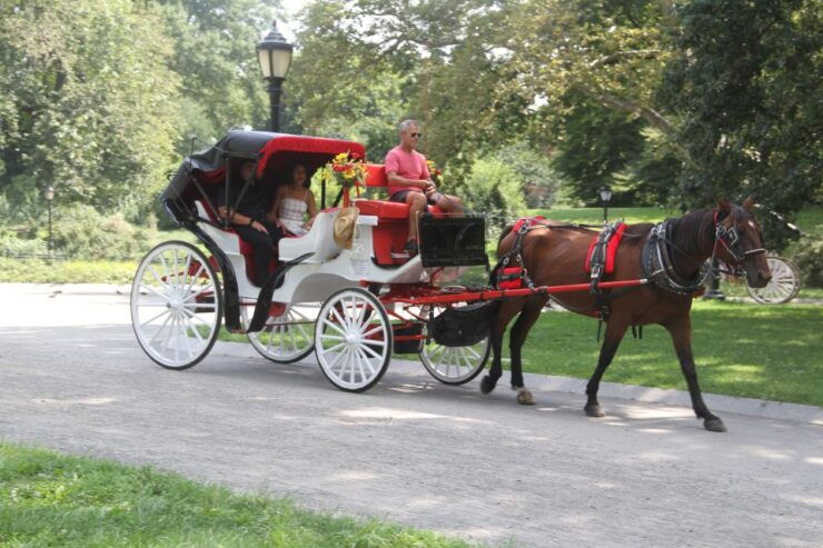 Romantic/Proposal Central Park Carriage Tour Up to 4 Adults - Romantic Atmosphere and Setting