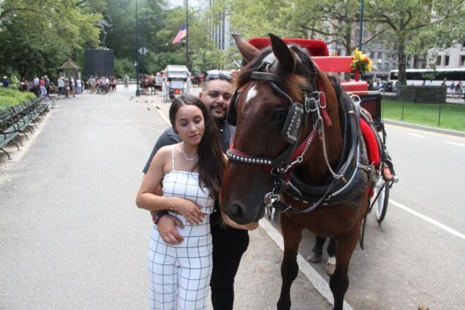 Romantic/Proposal Central Park Carriage Tour Up to 4 Adults - Perfect for Proposals and Special Occasions