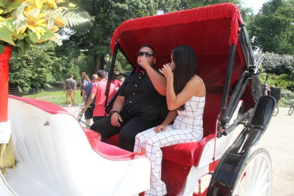 Romantic/Proposal Central Park Carriage Tour Up to 4 Adults - Common Questions