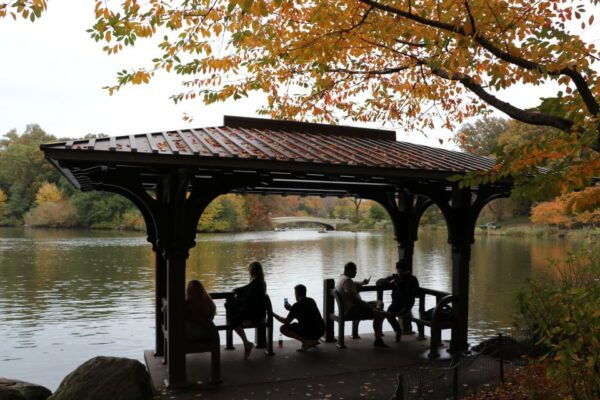 Romantic/Proposal Central Park Carriage Tour Up to 4 Adults - The Sum Up