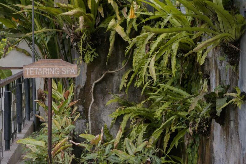 Romantic Ritual Massage - Romantic Ritual Massage: A Blissful Escape in Bali