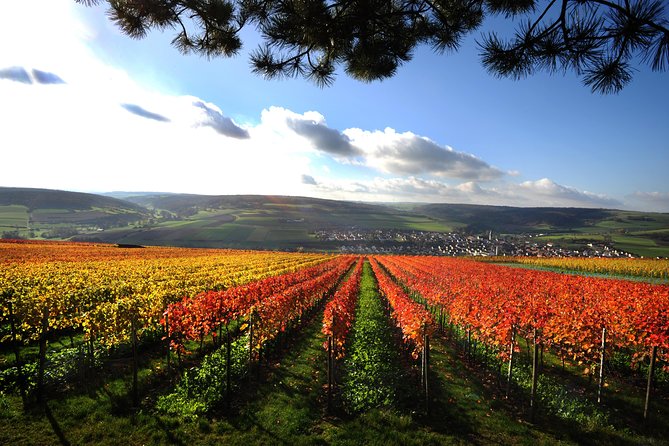 Romantic Road Ticket Frankfurt-Markelsheim Wine Village (SUNDAY) - Meeting Point Details
