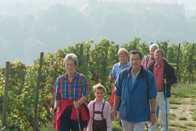 Romantic Road Ticket From Frankfurt(Main) to Röttingen Wine Village (Sunday) - Additional Information and Support