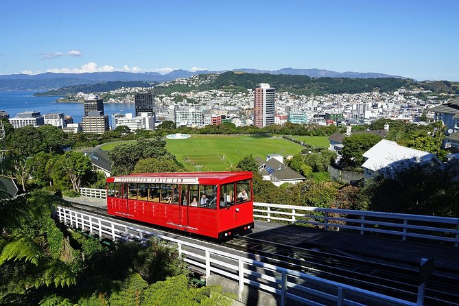 Romantic Tour in Wellington - Tour Highlights