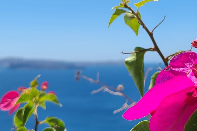 Romantic Tour Through Santorini - Tour Highlights