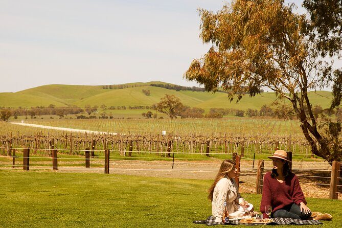 Romantic Vineyard Horse Riding and Picnic - Good To Know