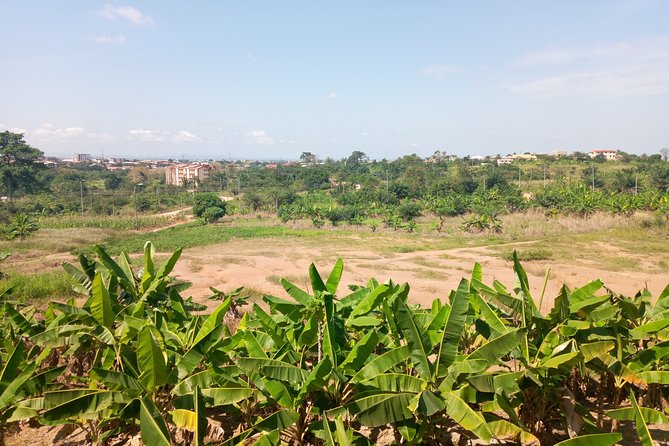 Romantic Walking Tour in Kumasi - Meeting Point