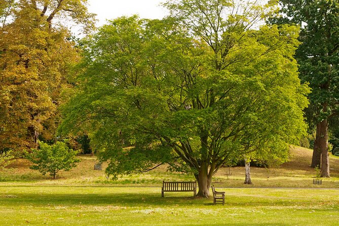 Romantic Walks in Roslin: A Scottish Love Story - Unveiling the Mysteries of Rosslyn Chapel