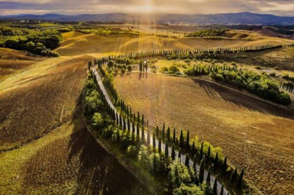 ROMANTIC WINE TOUR FOR 2 - Wine Tour in Chianti (Tuscany) - Customer Experiences