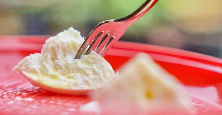 Rome : A Cool, Classic Rome Food Tour in a Small Group - Tour Details