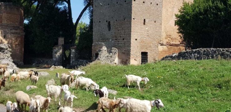 Rome: Ancient Appian Way E-Bike Tour - Tour Highlights