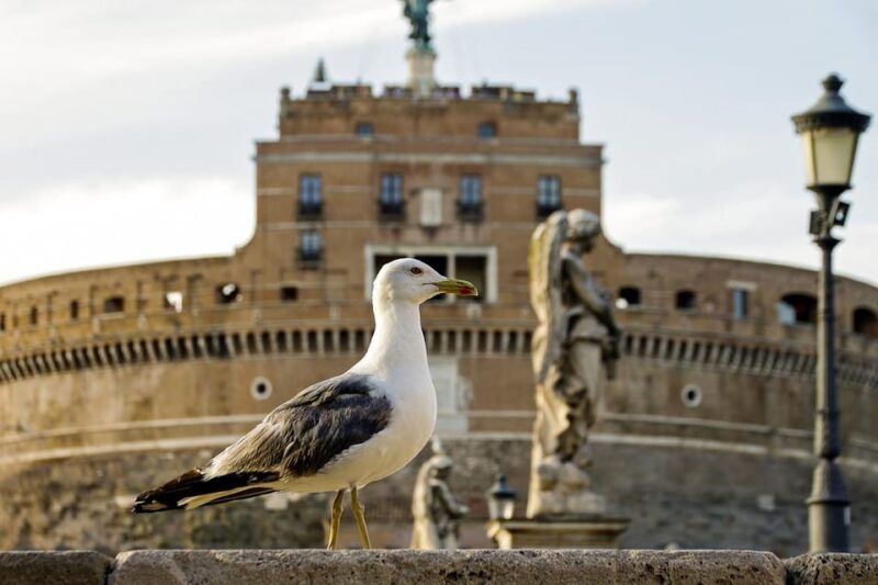 Rome and the Jubilee: Documentary with Professional Photos - Who Is This Tour Best For?