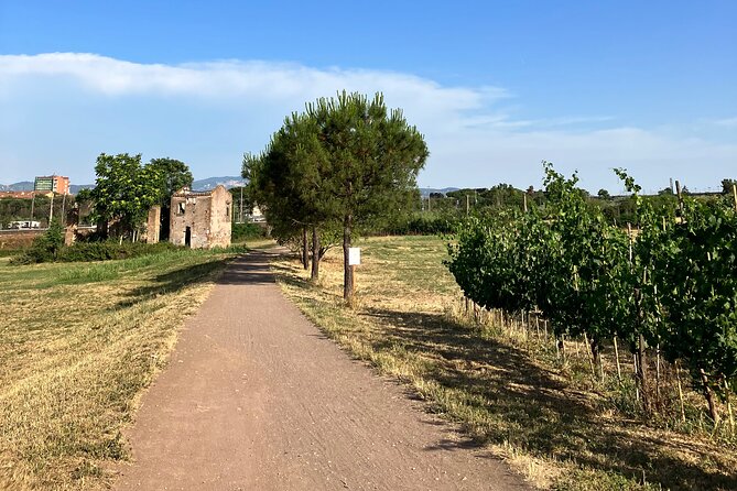 Rome Aqueduct Park Urban Guide Hike - Meeting and Pickup