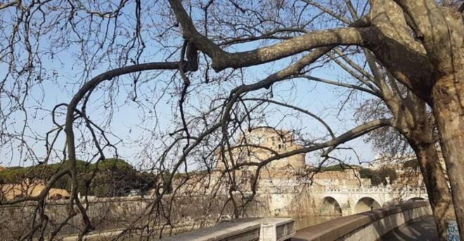 Rome Baroque: Fountains and Squares Private Walking Tour - Inclusions