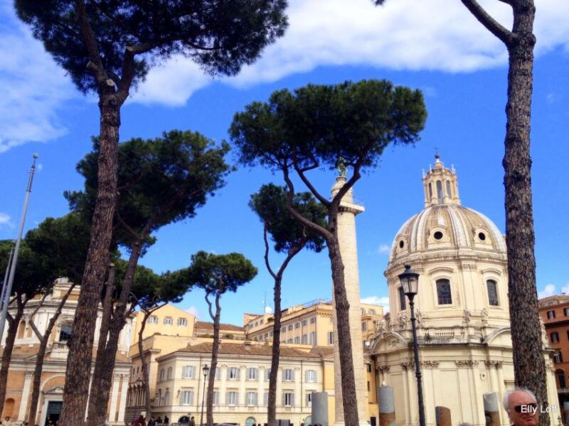 Rome: basic city walking tour - Good To Know