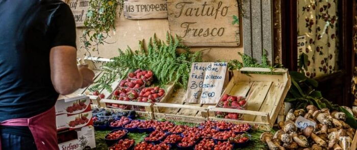 Rome: Beauties and Flavors of the Romans with Wine Tasting - Final Thoughts