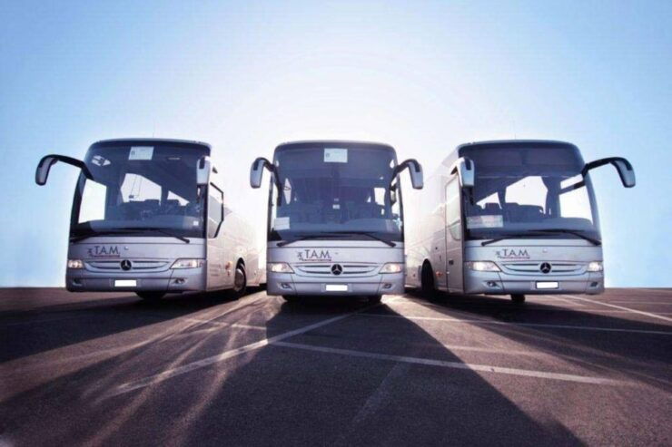 Rome: Bus Between Fiumicino Airport and Termini/Ostiense St - Service Details