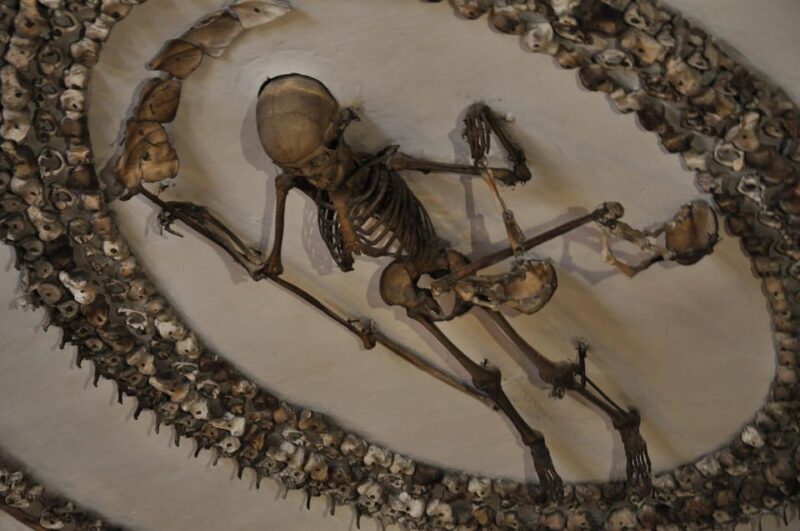 Rome: Capuchin Crypts Express Tour - What to Expect from the Tour