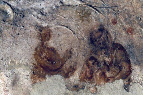 Rome: Catacombs of Priscilla Entry Ticket & Guided Tour - The Sum Up