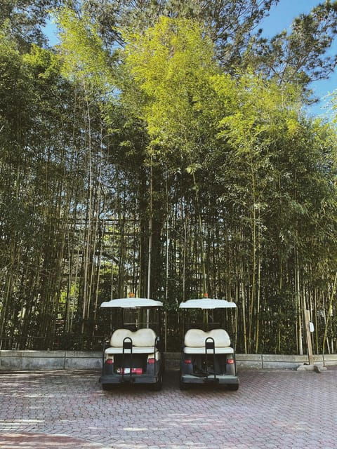 Rome City Sightseeing by Golf Cart Or Tuk Tuk (Private) - Eco-Friendly Transportation
