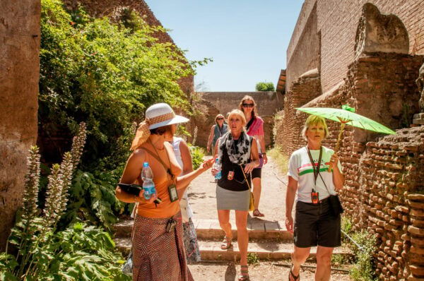 Rome: Colosseum and Roman Forum Guided Walking Tour - Customer Reviews and Ratings