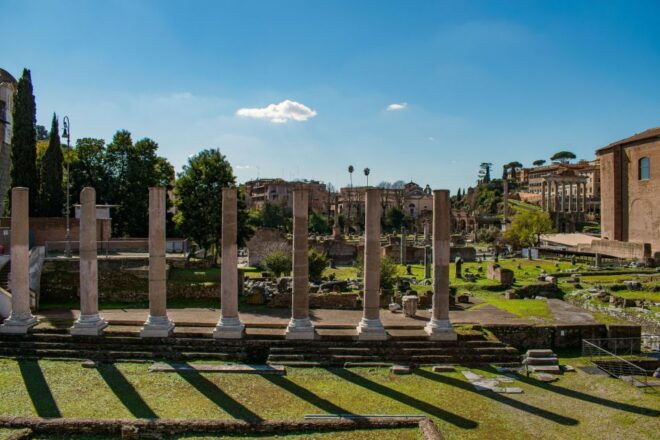 Rome: Colosseum Arena Guided Tour, Forum & Palatine Option - Customer Reviews