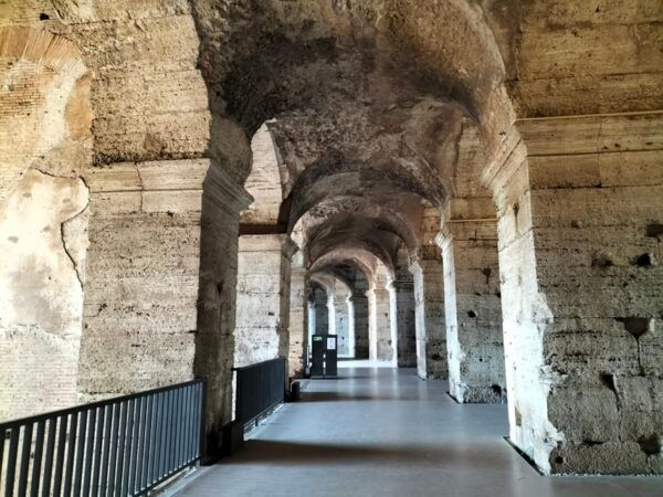 Rome: Colosseum Express Guided Tour With Roman Forum Entry - Additional Notes and Tips