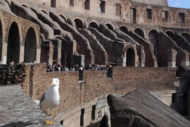 Rome Colosseum Express Tour With a Private Guide - Tour Details
