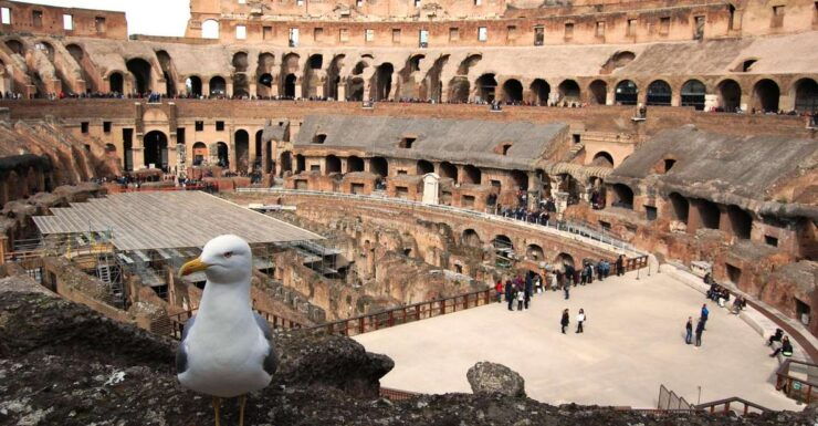 Rome: Colosseum Full Experience Underground Tour - Highlights of the Underground Tour