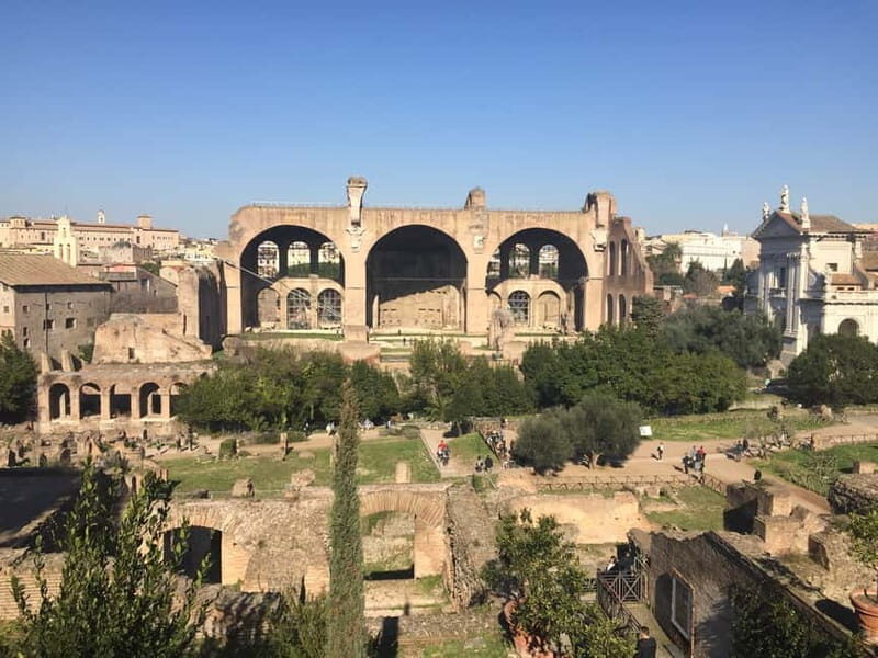 Rome: Colosseum, Palatine Hill and Roman Forum Guided Tour - Who Is This Tour Best For?