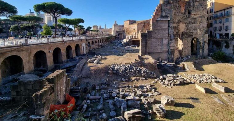 Rome: Colosseum, Palatine Hill and Roman Forum Guider Tour - What to Expect During the Tour