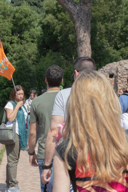 Rome: Colosseum, Roman Forum and Palatine Hill Guided Tour - Customer Reviews and Ratings