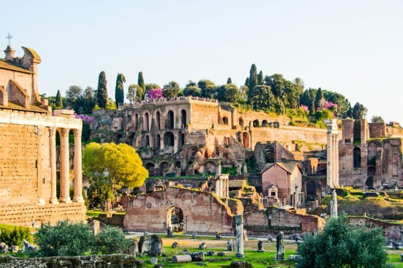 Rome: Colosseum, Roman Forum And Palatine Hill Guided Tour - Who Will Love This Tour?